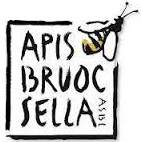 Apis Bruoc Sella